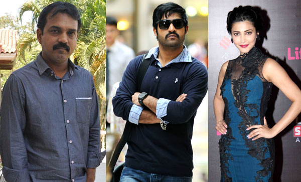 jr ntr,shruti haasan,koratala siva,mahesh babu,srimanthudu,shruti haasan in koratala siva and ntr movie  కొరటాల బంగారానికే.. ఎన్టీఆర్‌ ఫిక్స్! 